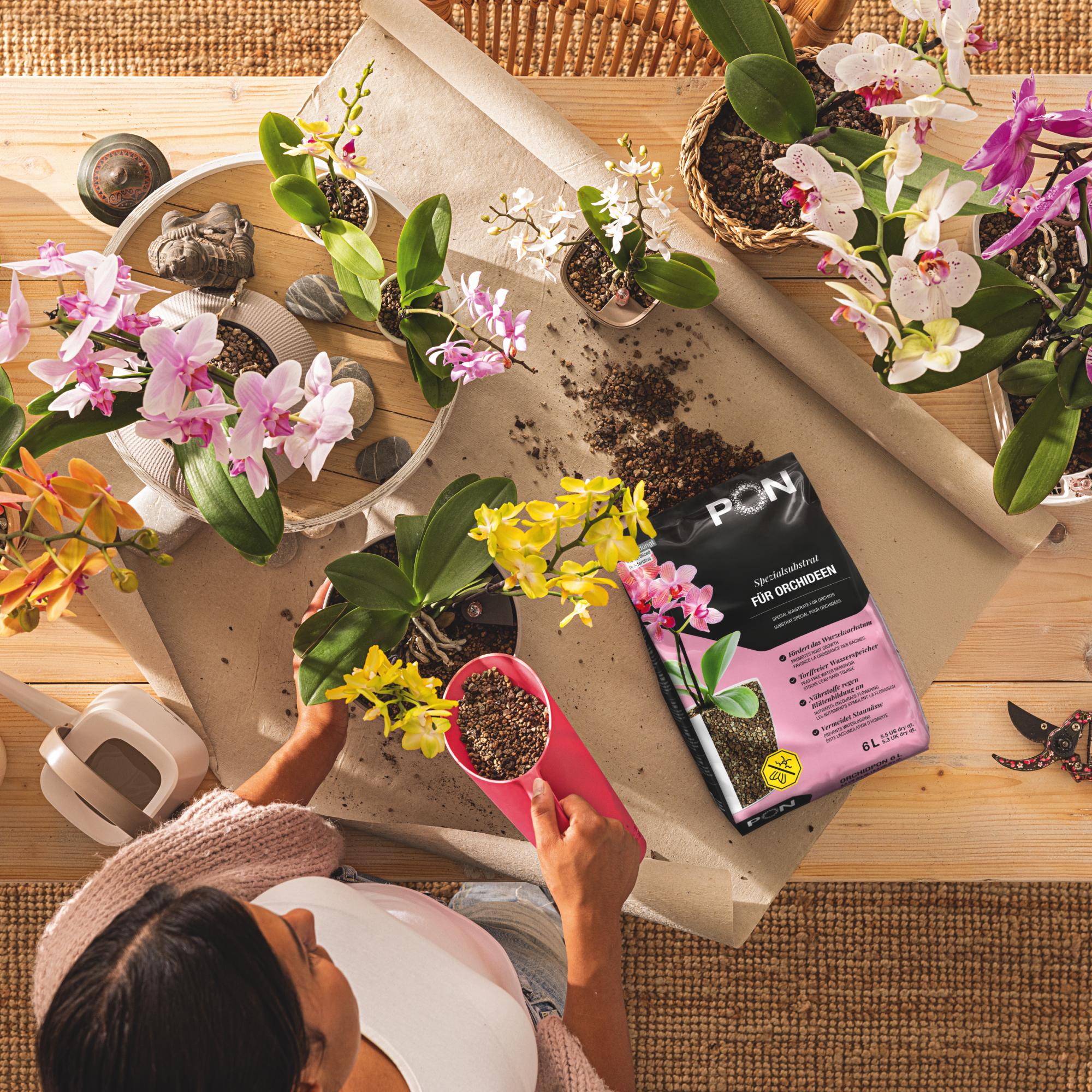 ORCHIDPON Special substrate for orchids 3 liter